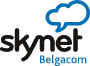 logo skynet